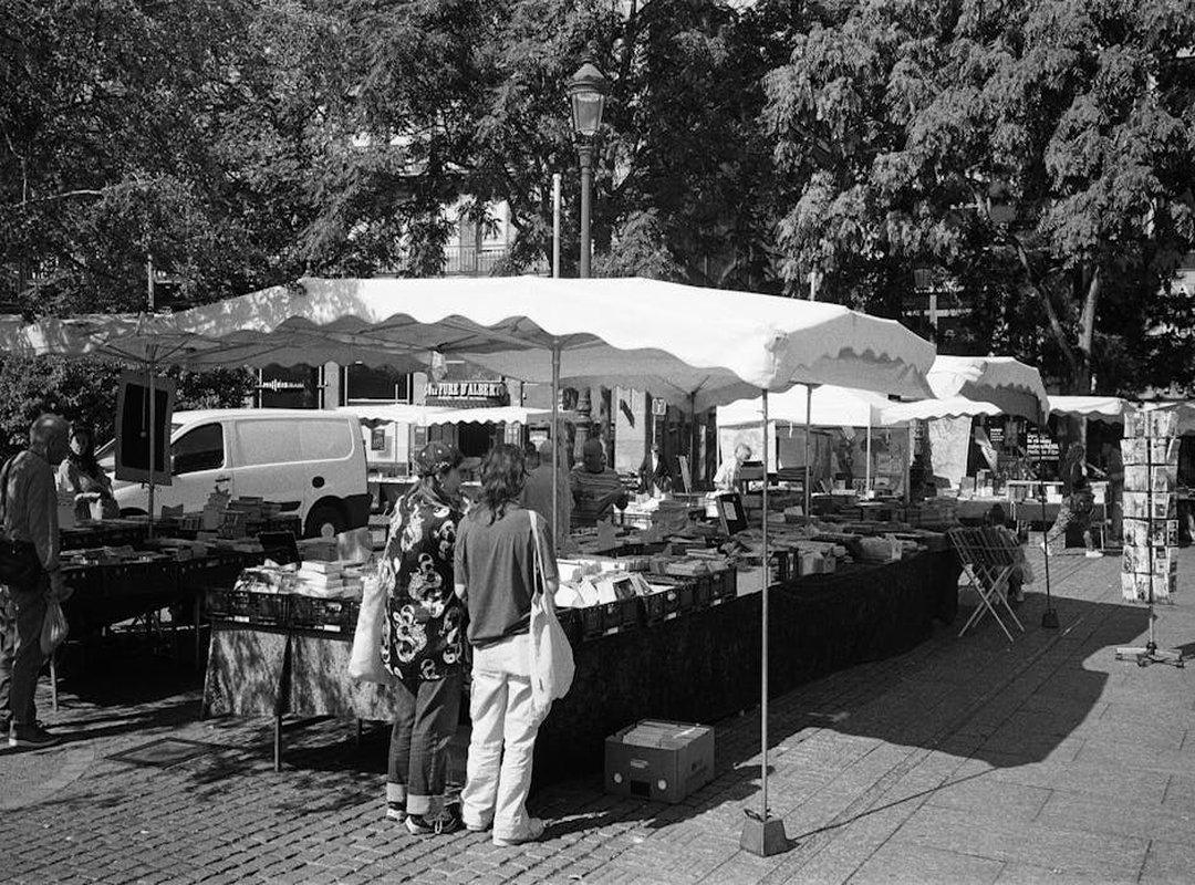 Post-Film Interactions and Public Appearances