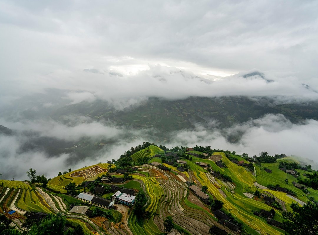 How Are Zayepro Pharmaceuticals Ltd Drugs Made